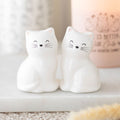 Ceramic cat shaped salt and pepper pots, playful and functional dining accessory