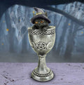 Coven Cup Black Cat In Goblet Nemesis Now