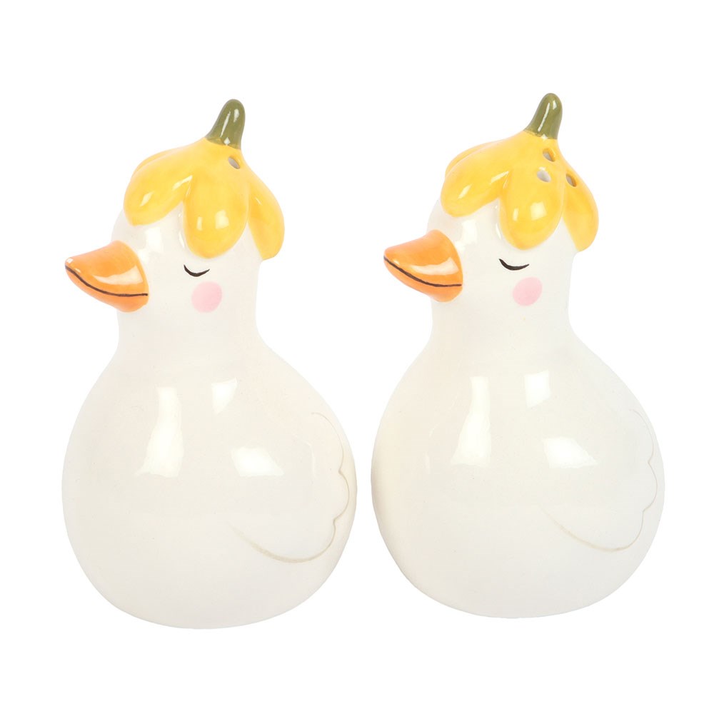 Daisy & Duck Ceramic Salt & Pepper Pots