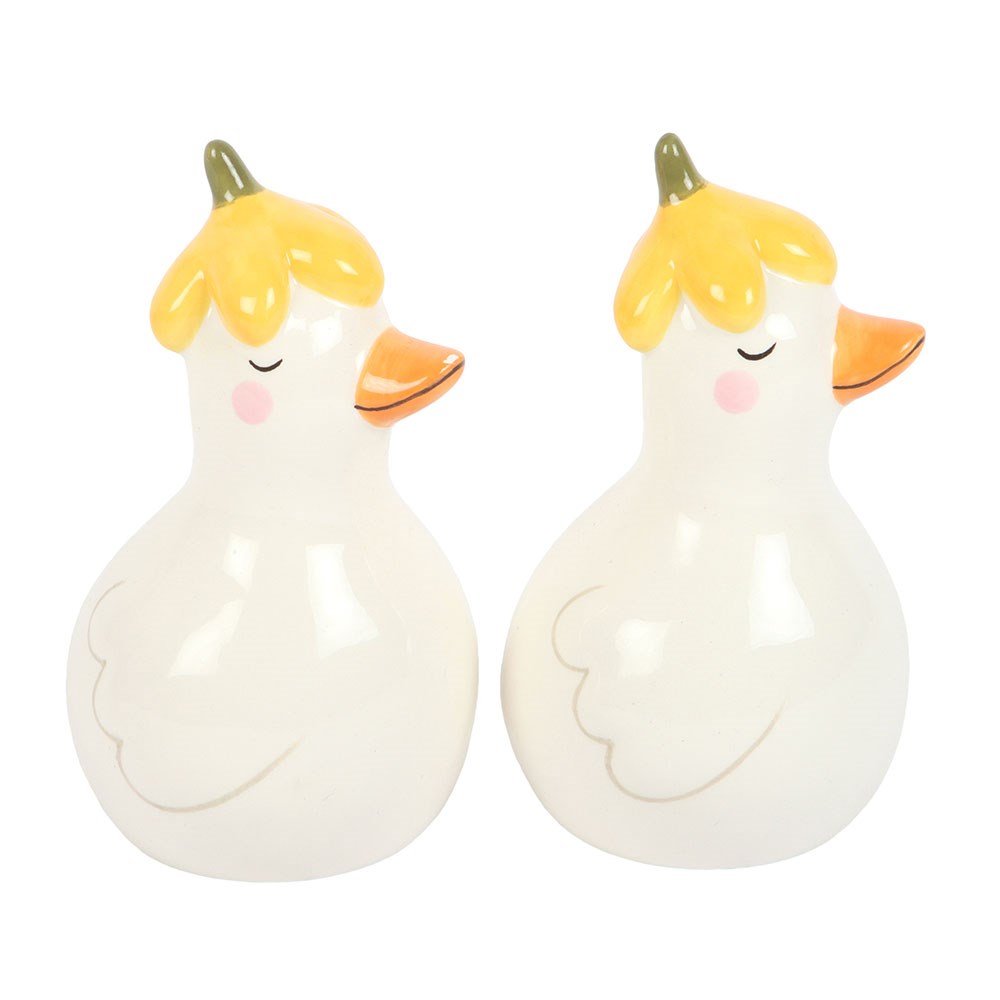 Daisy & Duck Ceramic Salt & Pepper Pots
