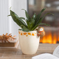 Cream ceramic plant pot with autumn leaf pattern and decorative hedgehog figure attached to the side, displayed with a green houseplant.