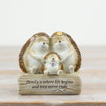 Decorative hedgehog family ornament featuring two adult hedgehogs and a baby hedgehog with the sentiment “Family is where life begins and love never ends”.