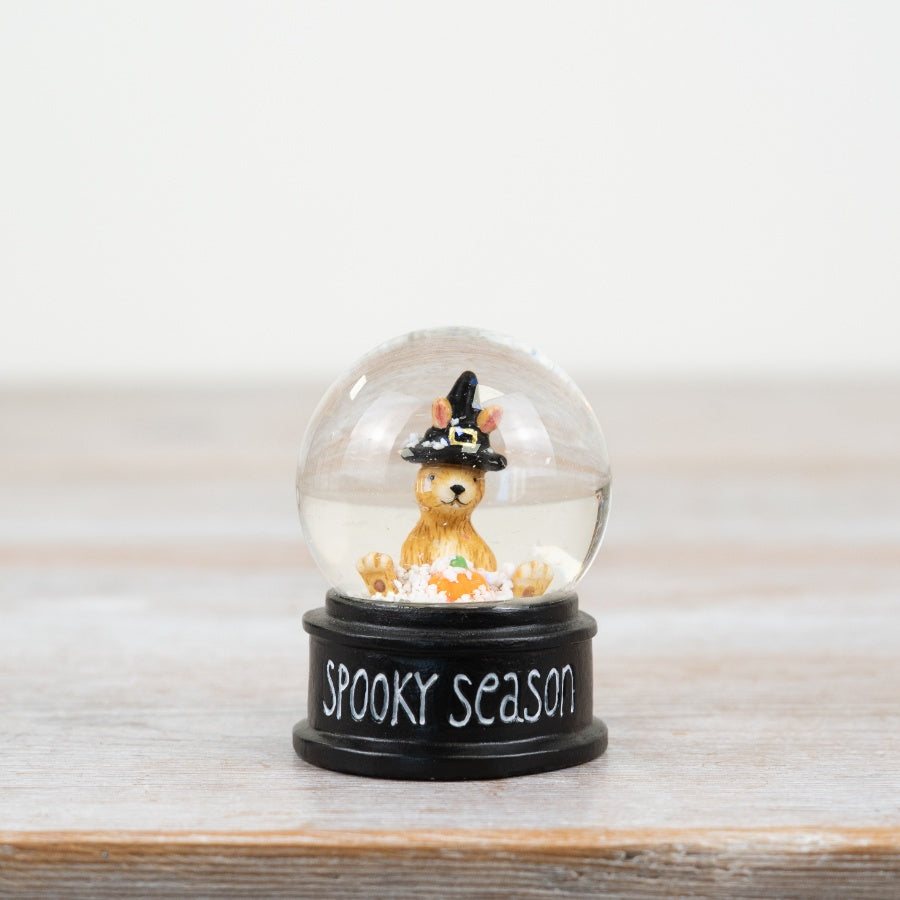 Small Halloween snow globe featuring Jasper Rabbit wearing a black witch's hat, with a pumpkin inside and "Spooky Season" printed on the black base.