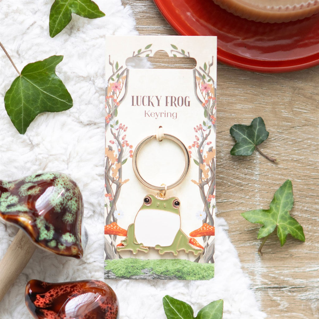 Lucky frog metal and enamel keyring, a fun and charming good luck token