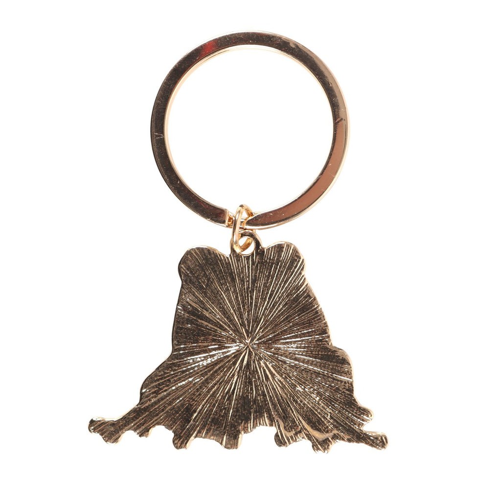 Lucky Frog Metal & Enamel Keyring