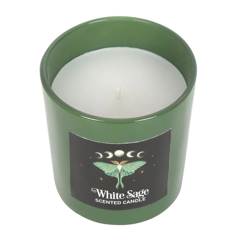Luna Moth Design White Sage Scented Candle