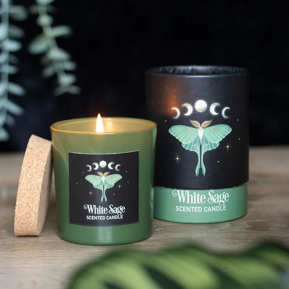 Luna moth design white sage scented candle, calming fragrance with nature theme