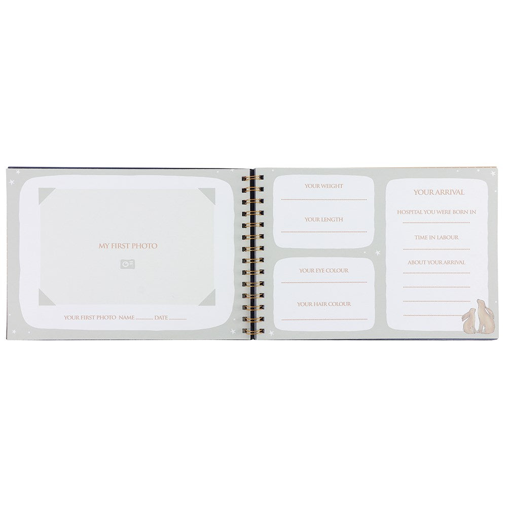 Memories & Moments Baby Milestone Book