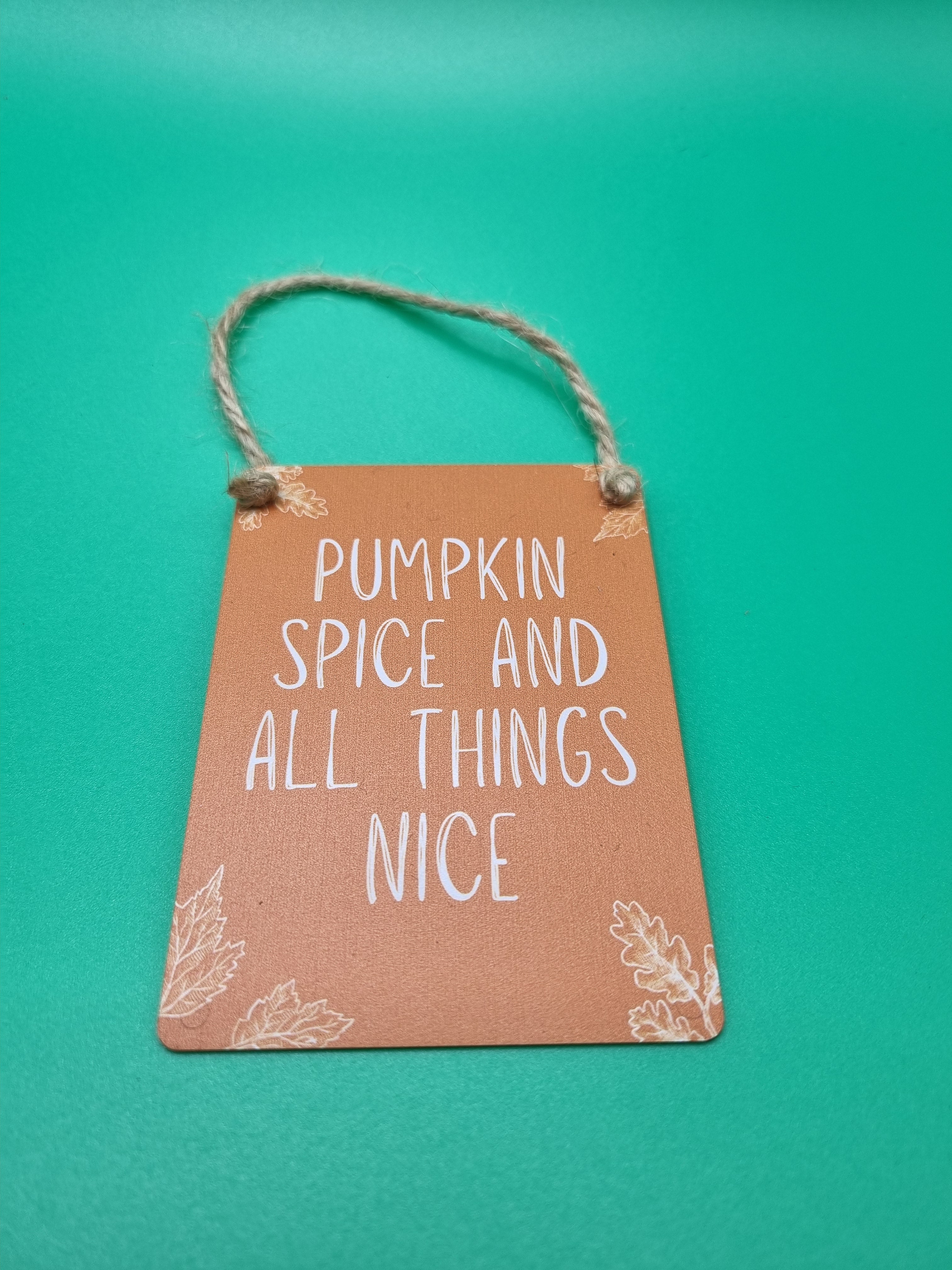 Small terracotta coloured mini metal hanging sign with Pumpkin Spice And All Things Nice in white lettering and embossed leaf corner details on a twisted twine hanger