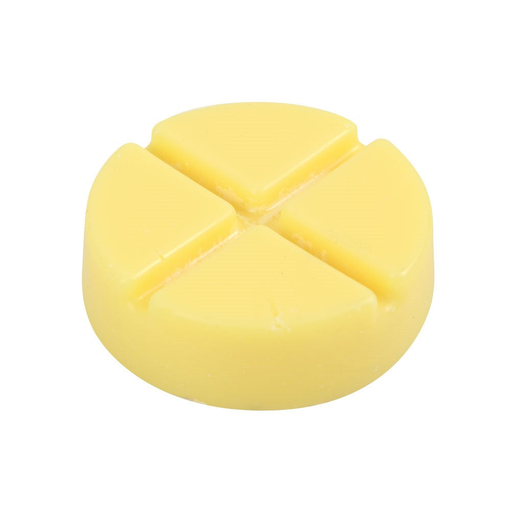 Spell Bound Soy Wax Melt Snap Discs