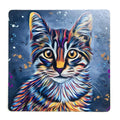 Tabby cat cork backed coaster by Deborah Barker, colourful and practical surface protector