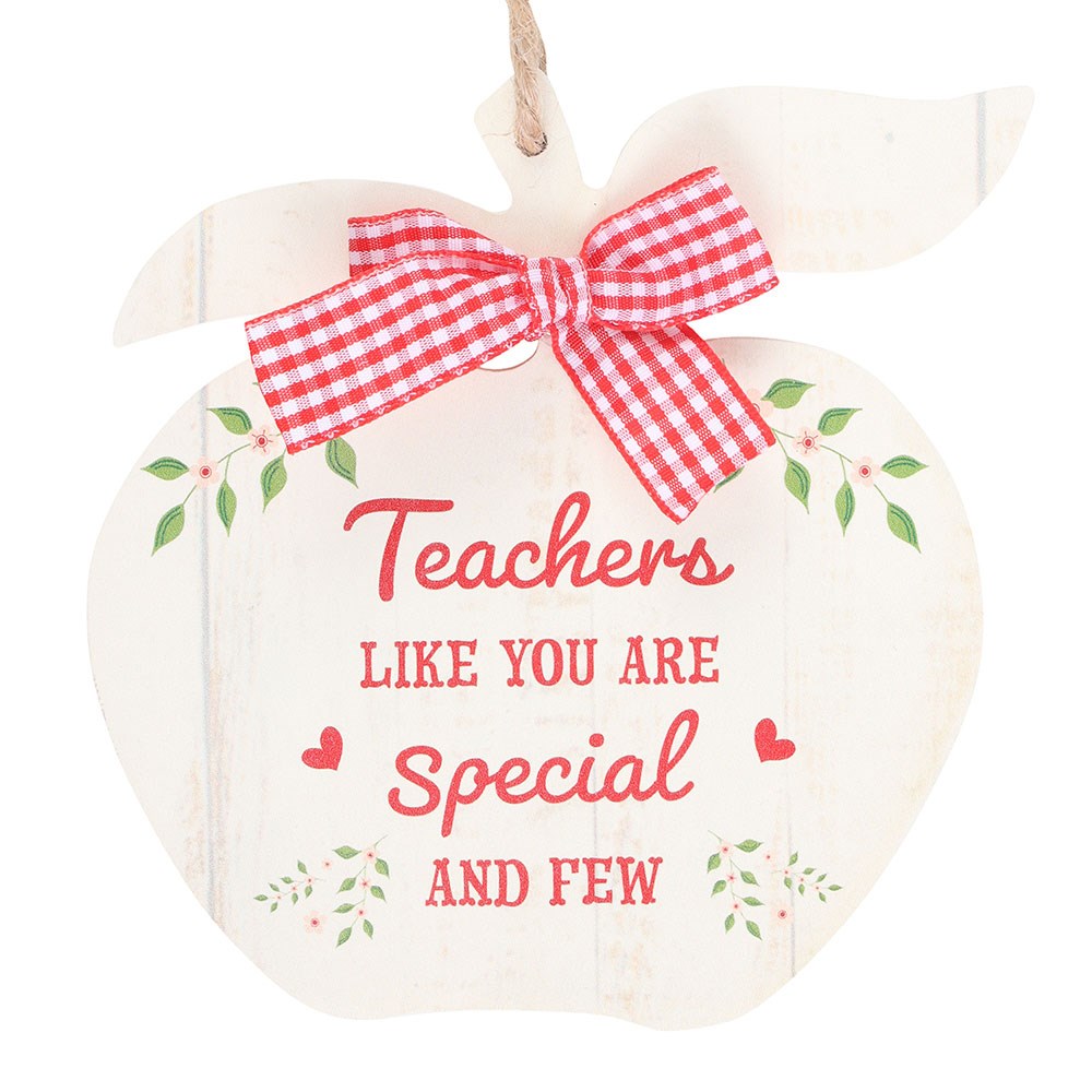 Teachers Like You Are Special Apple Shaped Wooden Sign