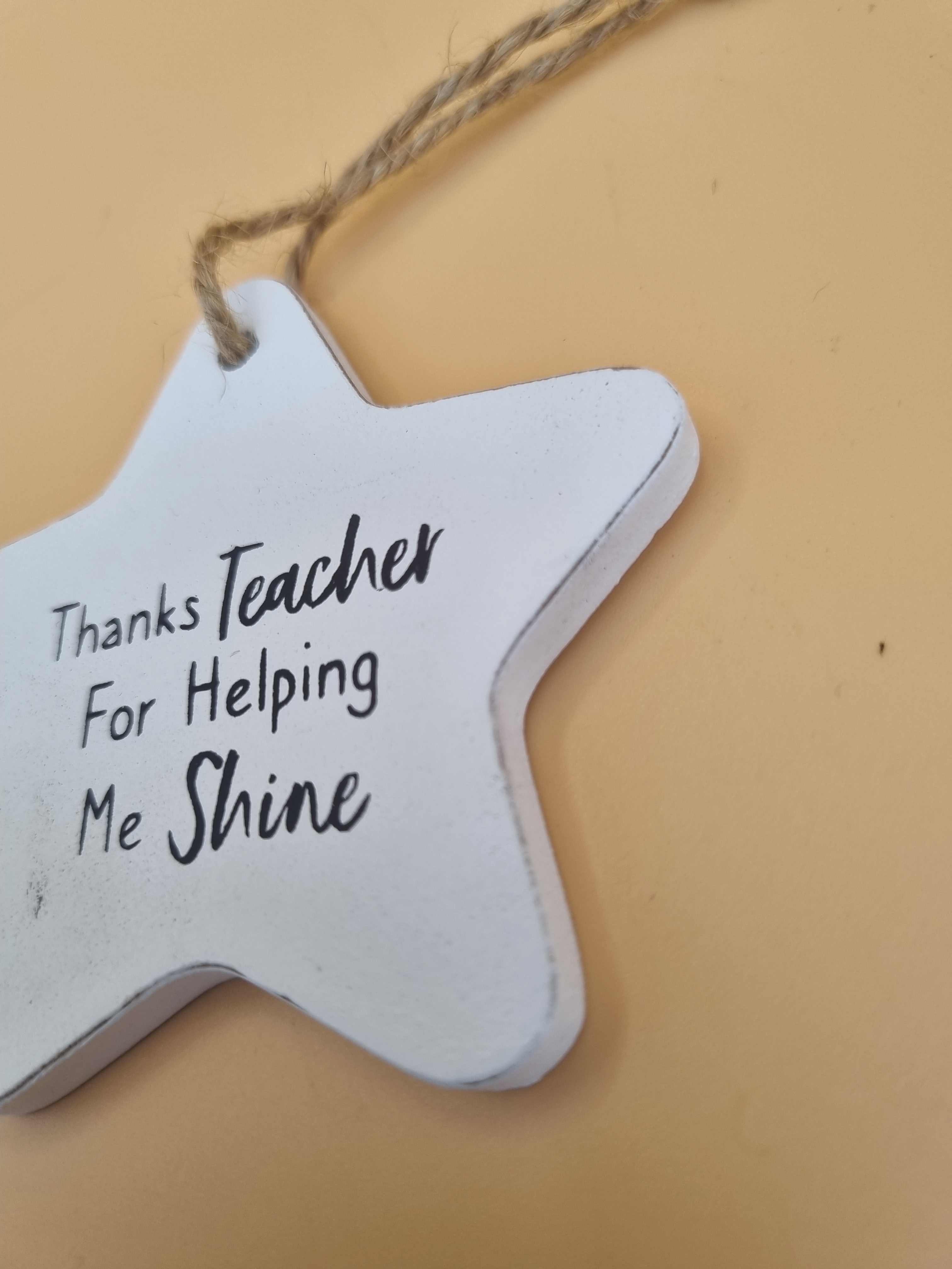 Thanks Teacher For Helping Me Shine Wooden Plaque
