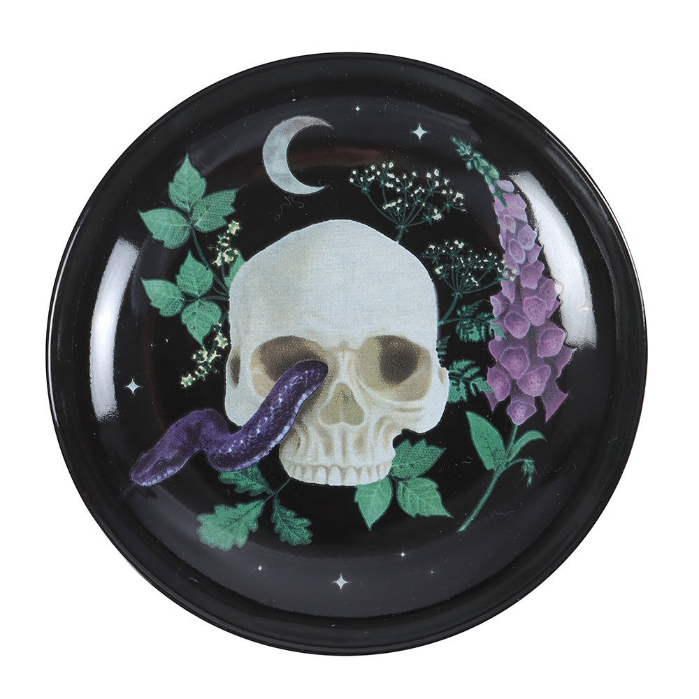 Venom & Vines Skull Ceramic Trinket Dish