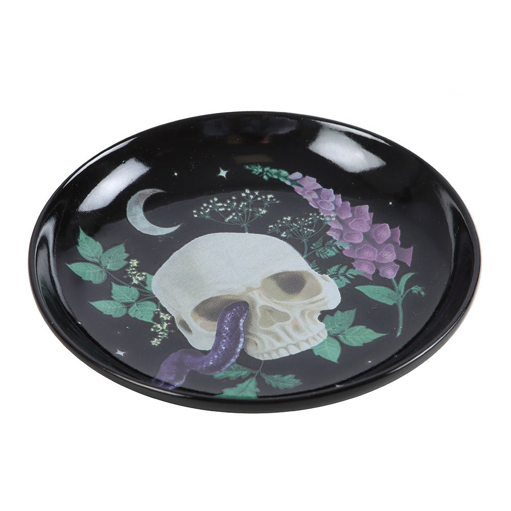 Venom & Vines Skull Ceramic Trinket Dish