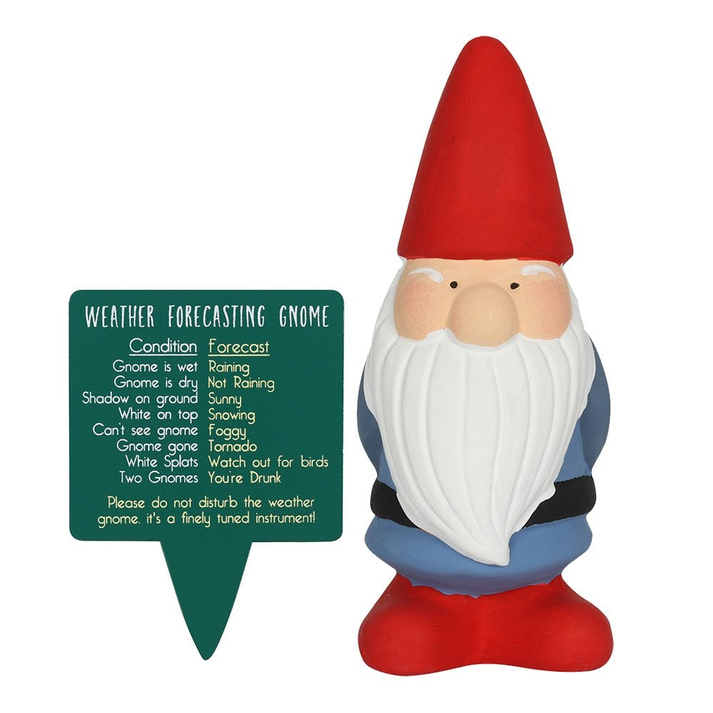 Cheeky Terracotta Weather Forecasting Gnome