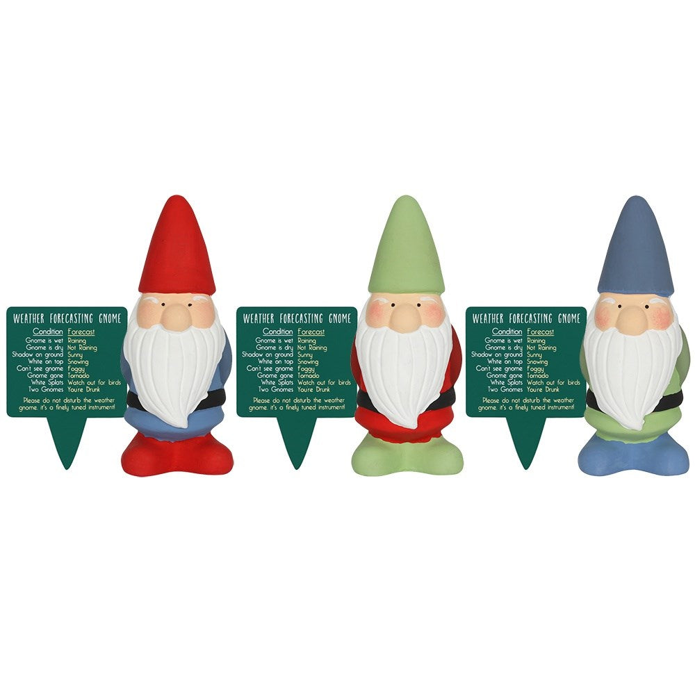 Cheeky Terracotta Weather Forecasting Gnome
